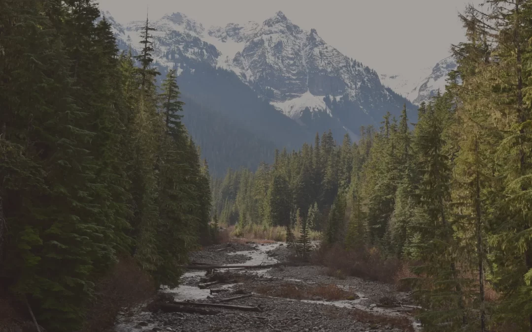 House of Numst and Nuxalk Radio project