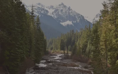 House of Numst and Nuxalk Radio project